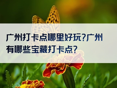 广州打卡点哪里好玩？广州有哪些宝藏打卡点？