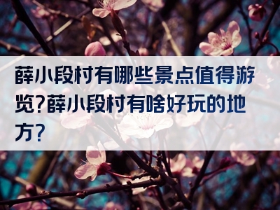 薛小段村有哪些景点值得游览？薛小段村有啥好玩的地方？