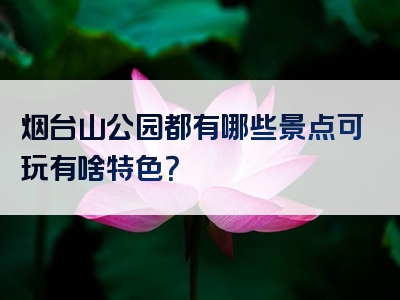 烟台山公园都有哪些景点可玩有啥特色？