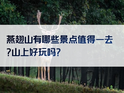 燕翅山有哪些景点值得一去？山上好玩吗？