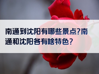 南通到沈阳有哪些景点？南通和沈阳各有啥特色？