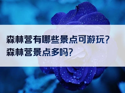 森林营有哪些景点可游玩？森林营景点多吗？