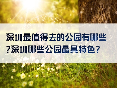 深圳最值得去的公园有哪些？深圳哪些公园最具特色？