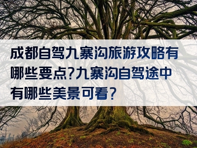 成都自驾九寨沟旅游攻略有哪些要点？九寨沟自驾途中有哪些美景可看？