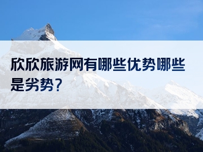 欣欣旅游网有哪些优势哪些是劣势？