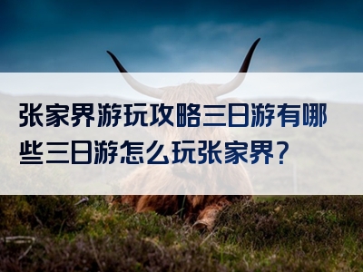 张家界游玩攻略三日游有哪些三日游怎么玩张家界？