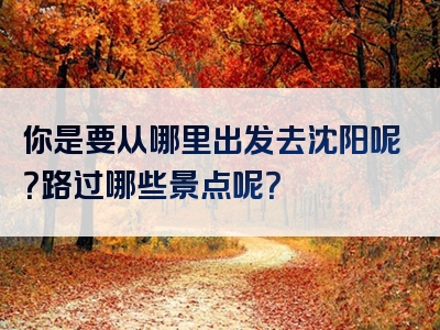 你是要从哪里出发去沈阳呢？路过哪些景点呢？