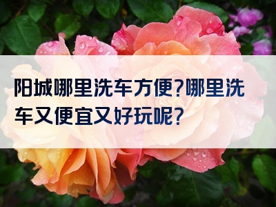 阳城哪里洗车方便？哪里洗车又便宜又好玩呢？