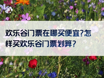 欢乐谷门票在哪买便宜？怎样买欢乐谷门票划算？