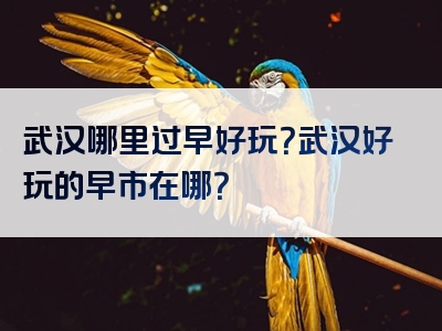 武汉哪里过早好玩？武汉好玩的早市在哪？