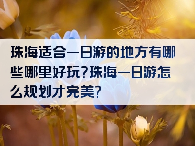 珠海适合一日游的地方有哪些哪里好玩？珠海一日游怎么规划才完美？