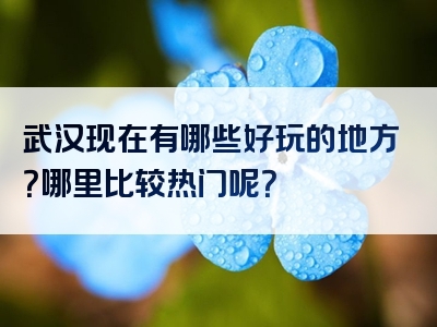 武汉现在有哪些好玩的地方？哪里比较热门呢？