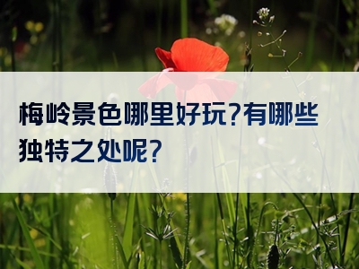 梅岭景色哪里好玩？有哪些独特之处呢？