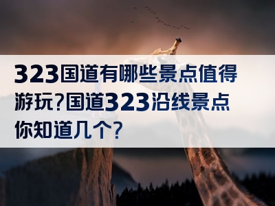 323国道有哪些景点值得游玩？国道323沿线景点你知道几个？