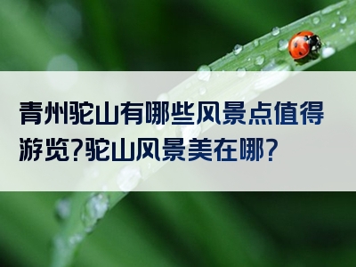 青州驼山有哪些风景点值得游览？驼山风景美在哪？