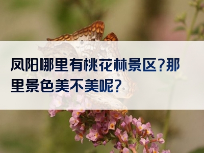 凤阳哪里有桃花林景区？那里景色美不美呢？