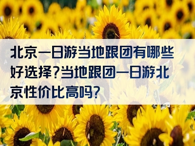 北京一日游当地跟团有哪些好选择？当地跟团一日游北京性价比高吗？