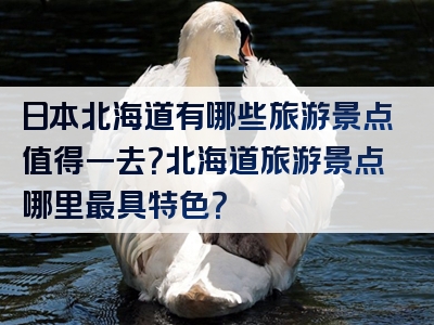 日本北海道有哪些旅游景点值得一去？北海道旅游景点哪里最具特色？