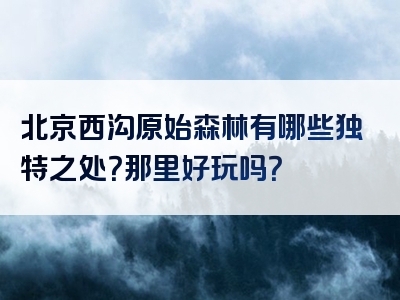 北京西沟原始森林有哪些独特之处？那里好玩吗？