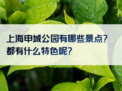 上海申城公园有哪些景点？都有什么特色呢？