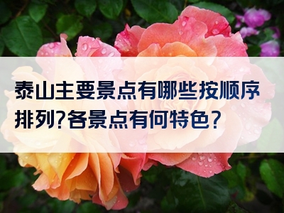 泰山主要景点有哪些按顺序排列？各景点有何特色？