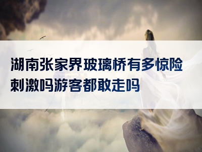 湖南张家界玻璃桥有多惊险刺激吗游客都敢走吗