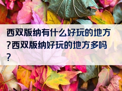 西双版纳有什么好玩的地方？西双版纳好玩的地方多吗？