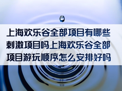 上海欢乐谷全部项目有哪些刺激项目吗上海欢乐谷全部项目游玩顺序怎么安排好吗