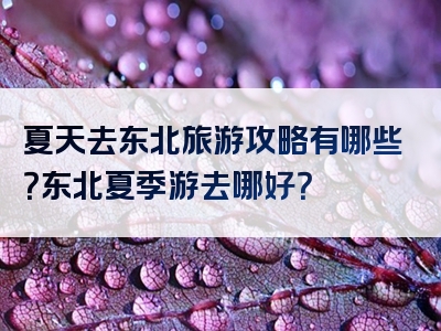 夏天去东北旅游攻略有哪些？东北夏季游去哪好？
