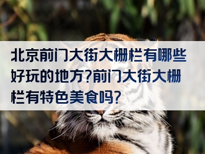 北京前门大街大栅栏有哪些好玩的地方？前门大街大栅栏有特色美食吗？