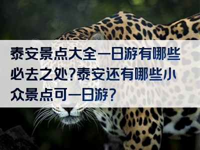 泰安景点大全一日游有哪些必去之处？泰安还有哪些小众景点可一日游？