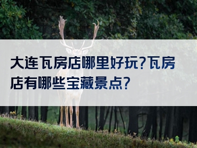 大连瓦房店哪里好玩？瓦房店有哪些宝藏景点？