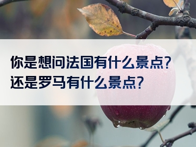 你是想问法国有什么景点？还是罗马有什么景点？