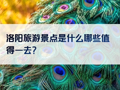 洛阳旅游景点是什么哪些值得一去？