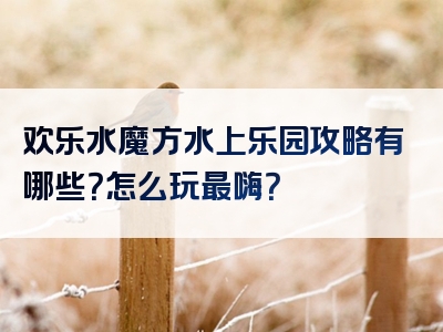 欢乐水魔方水上乐园攻略有哪些？怎么玩最嗨？