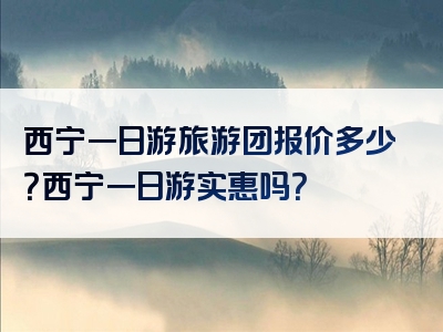 西宁一日游旅游团报价多少？西宁一日游实惠吗？