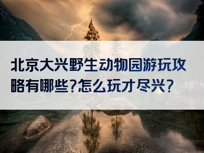 北京大兴野生动物园游玩攻略有哪些？怎么玩才尽兴？