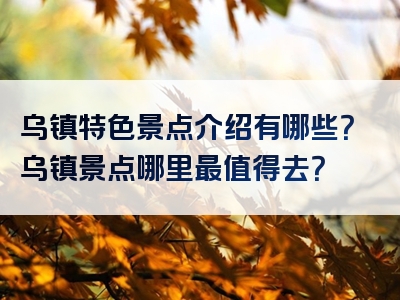 乌镇特色景点介绍有哪些？乌镇景点哪里最值得去？