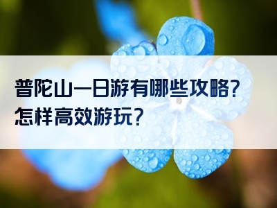 普陀山一日游有哪些攻略？怎样高效游玩？