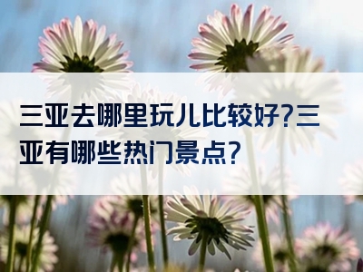 三亚去哪里玩儿比较好？三亚有哪些热门景点？