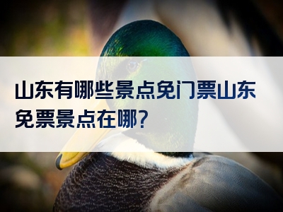 山东有哪些景点免门票山东免票景点在哪？