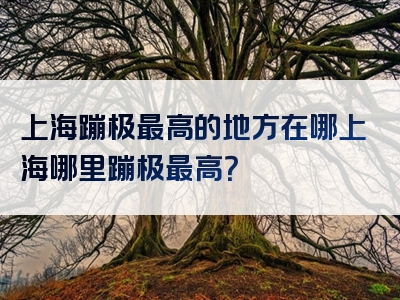 上海蹦极最高的地方在哪上海哪里蹦极最高？