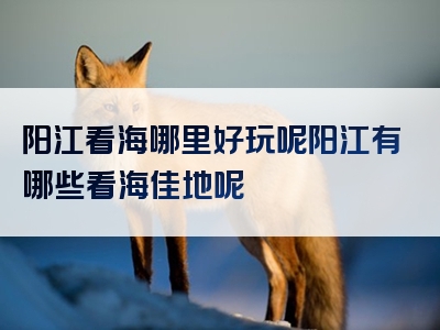 阳江看海哪里好玩呢阳江有哪些看海佳地呢