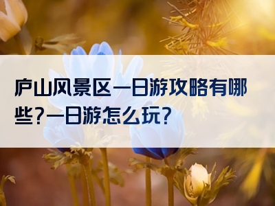 庐山风景区一日游攻略有哪些？一日游怎么玩？