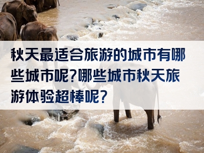 秋天最适合旅游的城市有哪些城市呢？哪些城市秋天旅游体验超棒呢？