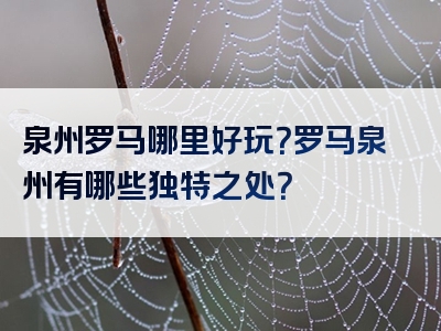 泉州罗马哪里好玩？罗马泉州有哪些独特之处？