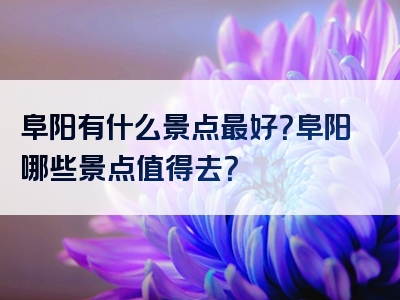 阜阳有什么景点最好？阜阳哪些景点值得去？