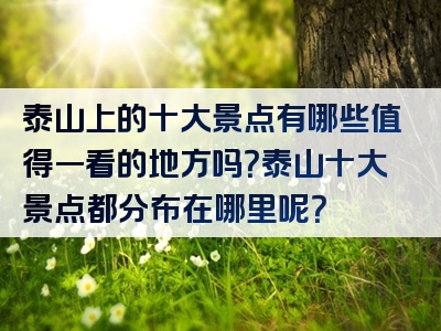 泰山上的十大景点有哪些值得一看的地方吗？泰山十大景点都分布在哪里呢？