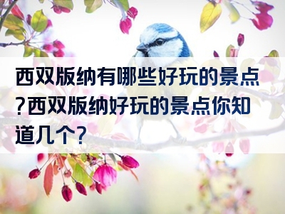 西双版纳有哪些好玩的景点？西双版纳好玩的景点你知道几个？