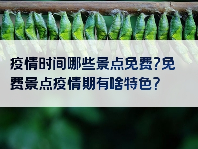 疫情时间哪些景点免费？免费景点疫情期有啥特色？